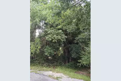 106 Taylor Lane, Hubert, NC 28539 - Photo 3