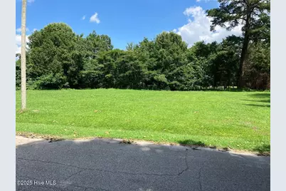 0 Pitt Street, Grimesland, NC 27837 - Photo 3