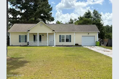 117 Boysenberry Fields Road, Maple Hill, NC 28454 - Photo 1