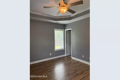 117 Boysenberry Fields Road, Maple Hill, NC 28454 - Photo 13