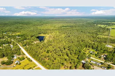 34.38 Ac Stag Drive, Hampstead, NC 28443 - Photo 3