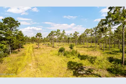 34.38 Ac Stag Drive, Hampstead, NC 28443 - Photo 19