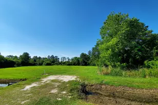 55 Whichards Ct, Chocowinity, NC 27817 - Photo 1
