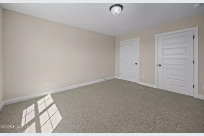 313 Gerbera Court, Greenville, NC 27858 - Photo 17