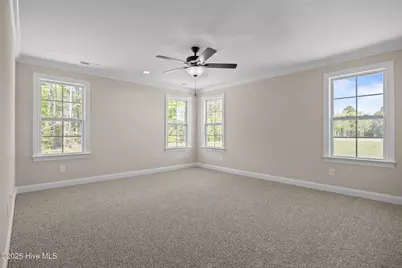 313 Gerbera Court, Greenville, NC 27858 - Photo 19