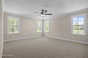 313 Gerbera Ct, Greenville, NC 27858 - Photo 19