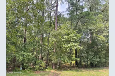 7 Country Lane, Ellerbe, NC 28338 - Photo 11