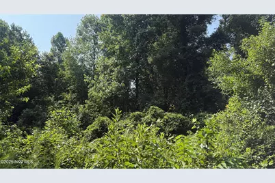0 Reedsford Road, Turkey, NC 28393 - Photo 35
