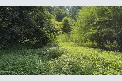 0 Reedsford Road, Turkey, NC 28393 - Photo 33