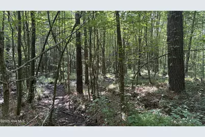 0 Reedsford Road, Turkey, NC 28393 - Photo 43