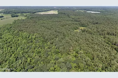 0 Reedsford Road, Turkey, NC 28393 - Photo 25