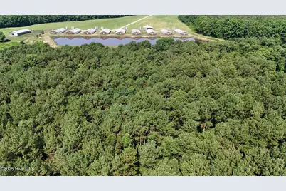 0 Reedsford Road, Turkey, NC 28393 - Photo 29