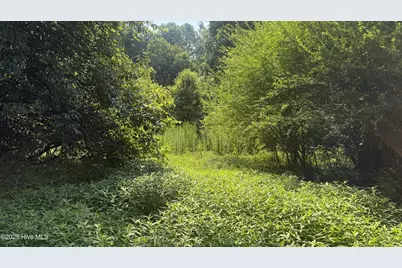0 Reedsford Road, Turkey, NC 28393 - Photo 31