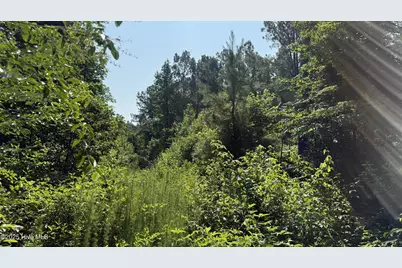 0 Reedsford Road, Turkey, NC 28393 - Photo 41