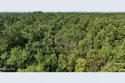 0 Reedsford Road, Turkey, NC 28393 - Photo 19