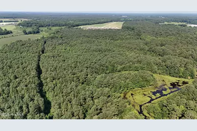 0 Reedsford Road, Turkey, NC 28393 - Photo 23