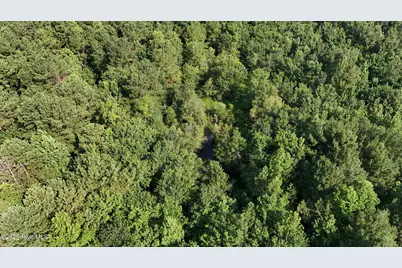 0 Reedsford Road, Turkey, NC 28393 - Photo 13