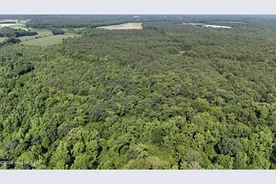 0 Reedsford Road, Turkey, NC 28393 - Photo 1