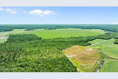 1 Green Sea Road, Garland, NC 28441 - Photo 21