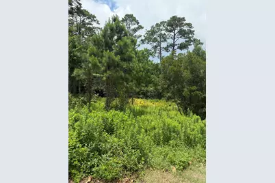 1015 Meridian Drive, Sneads Ferry, NC 28460 - Photo 1