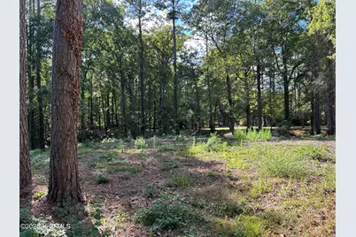 101 Hillside Drive, Washington, NC 27889 - Photo 3