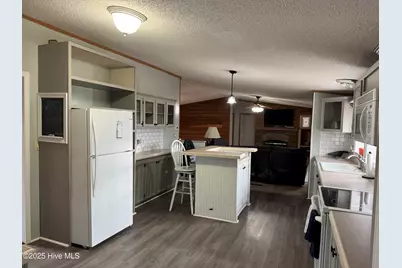 199 Nc 124, Macclesfield, NC 27852 - Photo 3