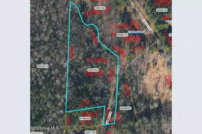 Tbd Herman Drive, Carthage, NC 28327 - Photo 1