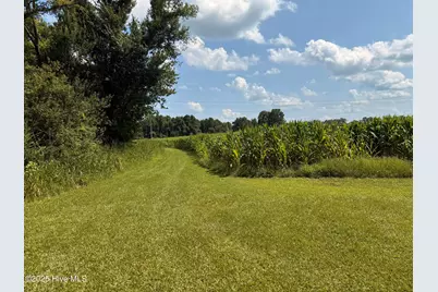 1985 W Main Street, Williamston, NC 27892 - Photo 11