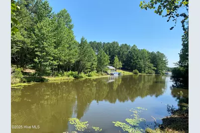 291 Gails Road, West End, NC 27376 - Photo 7
