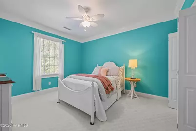 107 Wild Berry Lane, Hampstead, NC 28443 - Photo 41