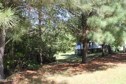 415 Cannons Ferry Road, Tyner, NC 27980 - Photo 11