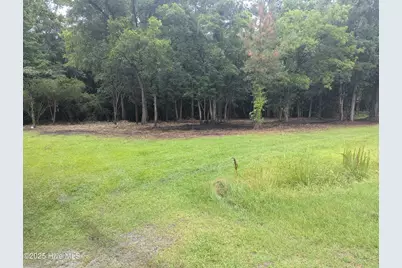 0 Nc Hwy111, Pinetops, NC 27864 - Photo 7
