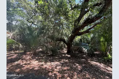 9 Red Cedar Trail, Bald Head Island, NC 28461 - Photo 1