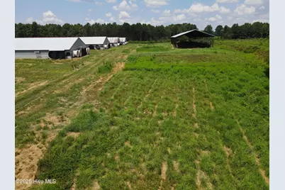 Tbd E Woodrow School Road, Murfreesboro, NC 27855 - Photo 15
