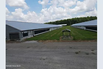 Tbd E Woodrow School Road, Murfreesboro, NC 27855 - Photo 25