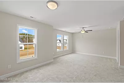 909 Wild Azalea Way, Hubert, NC 28539 - Photo 21