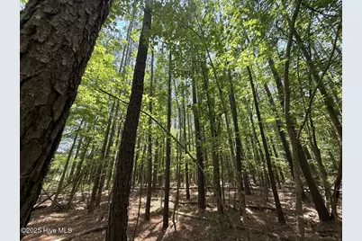 Lot 95 Carolina Shores, Bath, NC 27808 - Photo 33