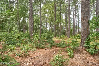 16 Moore Drive, Pinehurst, NC 28374 - Photo 3