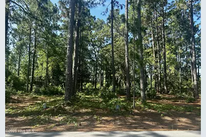 16 Moore Drive, Pinehurst, NC 28374 - Photo 5