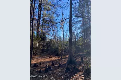 00 Harvest Point Road, Elizabeth City, NC 27909 - Photo 35