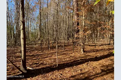 00 Harvest Point Road, Elizabeth City, NC 27909 - Photo 31