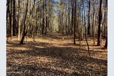 00 Harvest Point Road, Elizabeth City, NC 27909 - Photo 33