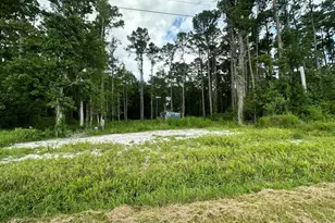 690 Oriental Rd, Oriental, NC 28571 - Photo 1