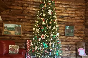 2326 US-117, Faison, NC 28341 - Photo 75