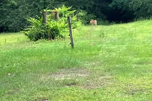 2326 US-117, Faison, NC 28341 - Photo 79