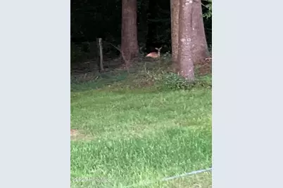 2326 Us-117, Faison, NC 28341 - Photo 77