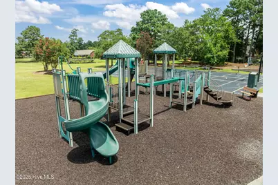 125 Falling Water Way, Wallace, NC 28466 - Photo 75