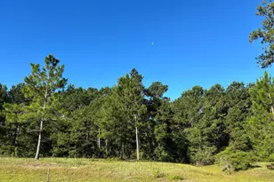 959 Ashburton Rd SE, Bolivia, NC 28422 - Photo 1