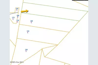 Lot B Carthage Road, West End, NC 27376 - Photo 3
