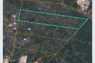 Lot B Carthage Road, West End, NC 27376 - Photo 1